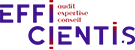 Logo efficientis